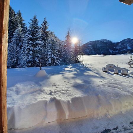 Zeitfrei Chalet Apartments Fieberbrunn Kültér fotó