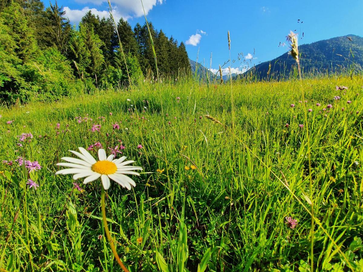 Zeitfrei Chalet Apartments Fieberbrunn Kültér fotó