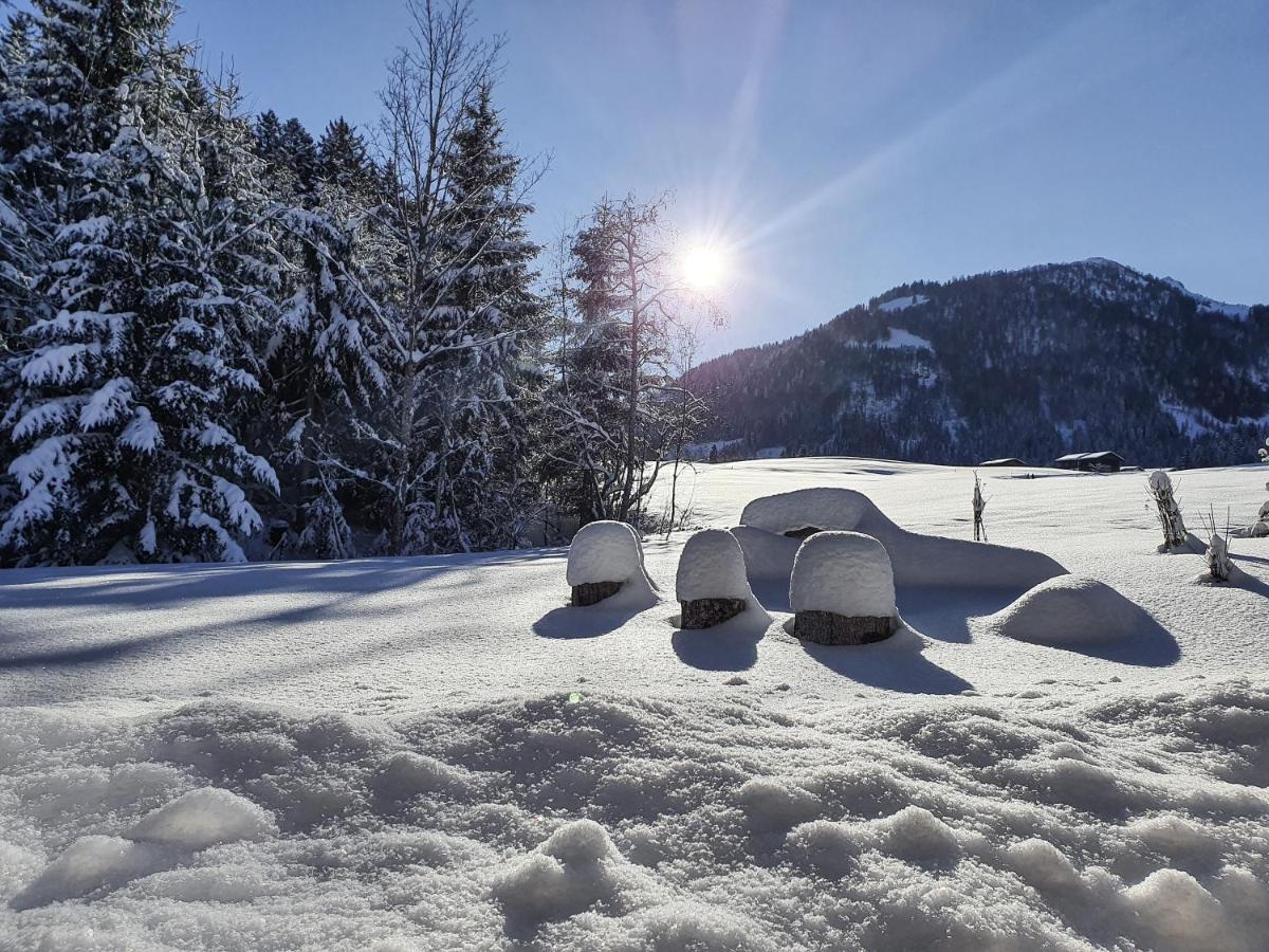 Zeitfrei Chalet Apartments Fieberbrunn Kültér fotó